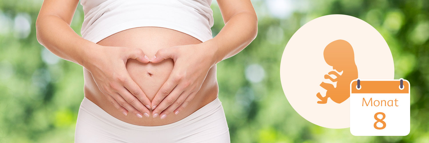8. Monat schwanger: Alles zum 8. Schwangerschaftsmonat | HiPP